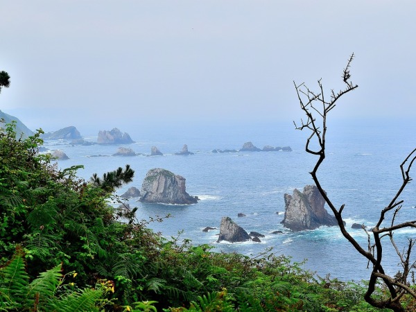 Asturias Airport Transfers (OVD) 