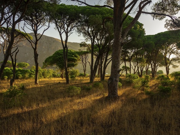 Heraklion Airport Transfers (HER) 