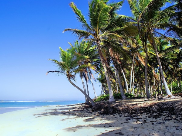 Punta Cana Airport (PUJ) 