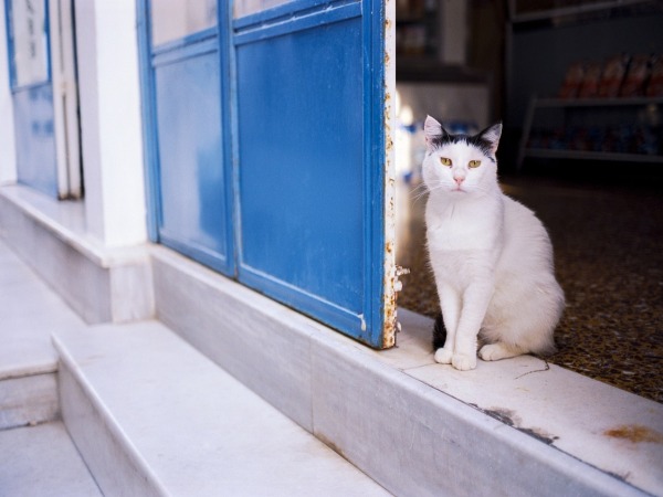 Rhodes Airport Transfers (RHO) 