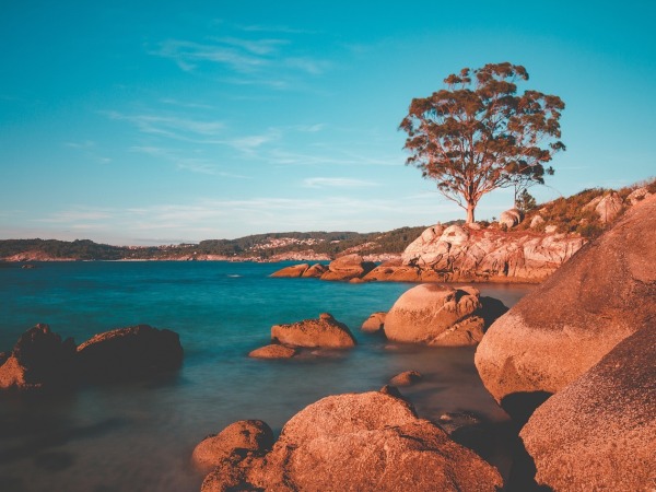 Vigo Flygplats Transfers (VGO) 